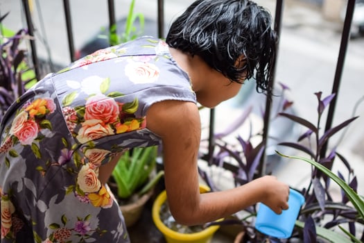 Cute 5 year old Asian little girl is watering the plant in the pots located at house balcony, Love of sweet little girl for the mother nature during watering into plants, Kid Planting photo