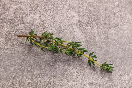 Aroma seasoning thyme stem with leaves photo