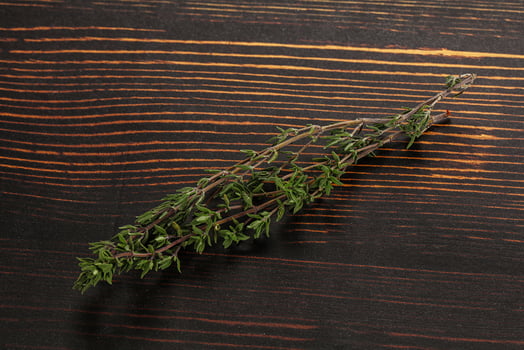 Thyme - aromatic seasoning herbal plant photo