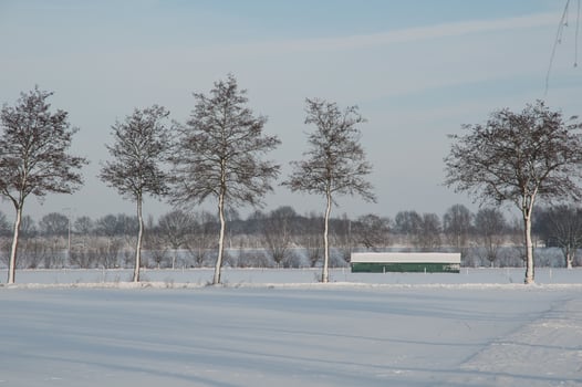 A snowy field photo