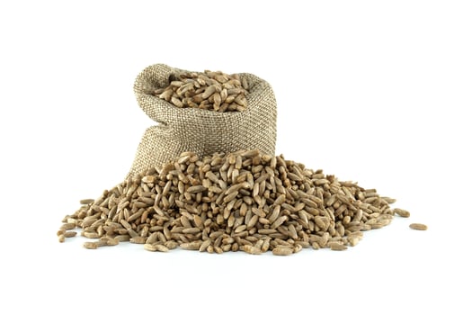 Closeup of rye grains and stalk for natural food and agriculture background photo