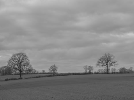 field near aulendorf village in westphalia photo