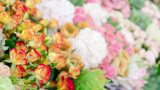 Pattern of pink, yellow, orange and red roses. photo