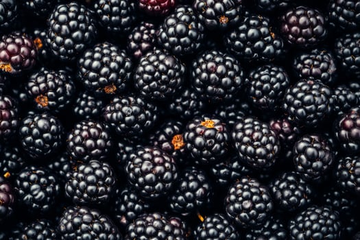 Blackberries are a very popular fruit photo