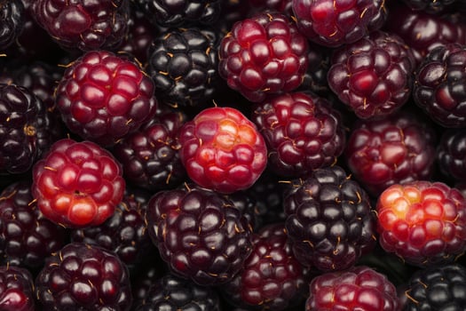A close up of a bunch of blackberries photo