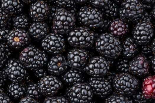 Blackberries are a great source of antioxidants photo