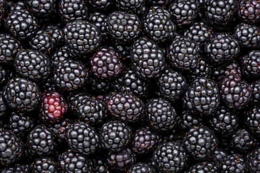 Blackberries are a great source of antioxidants photo