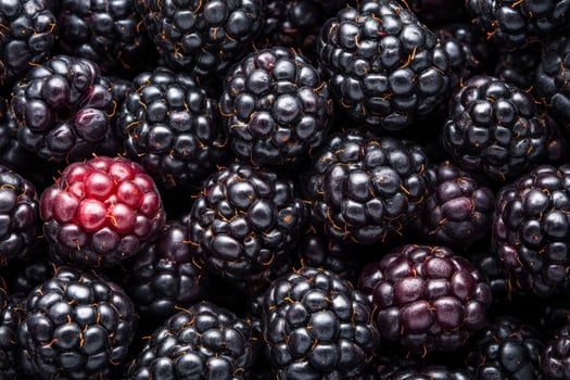 Blackberries are a great source of antioxidants photo