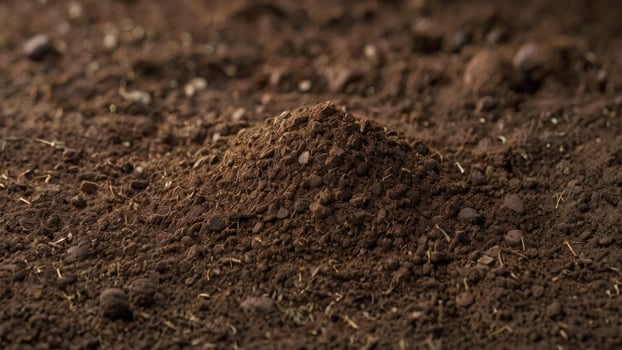 Ground Preparation for Cultivation photo