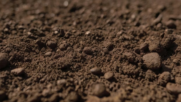 High-Resolution Topsoil Texture photo