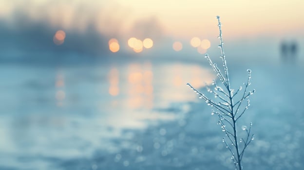 A frosty morning in the city with a tree in the foreground photo