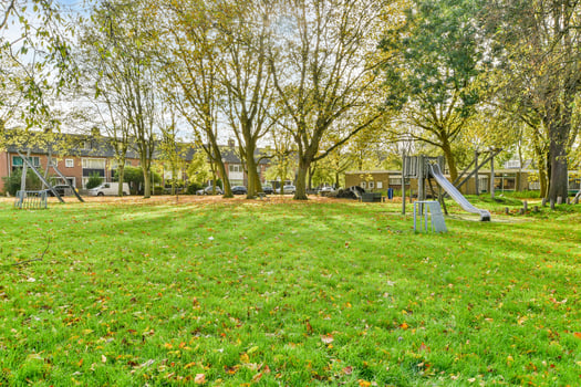 A park with a playground and trees in the background photo