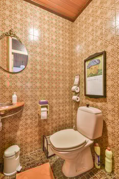 A bathroom with a toilet, sink, and mirror photo