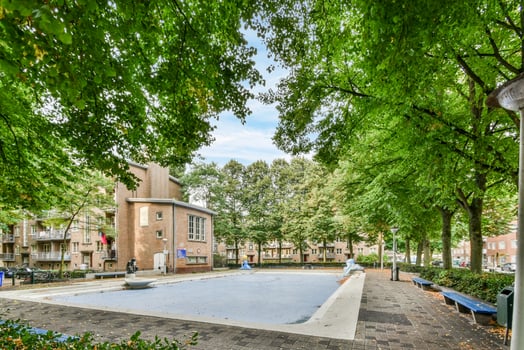 A large green tree photo