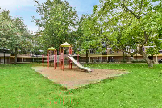 A playground with a slide and a tree photo