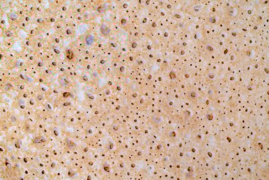 texture of the surface of freshly baked pancake. photo