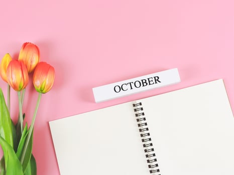 flat lay of opened diary or notebook with wooden calendar October on pink background with orange-yellow tulips. photo
