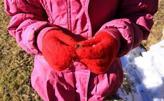 Child's hands in red warm mittens with the prickly wild plant part outdoors photo