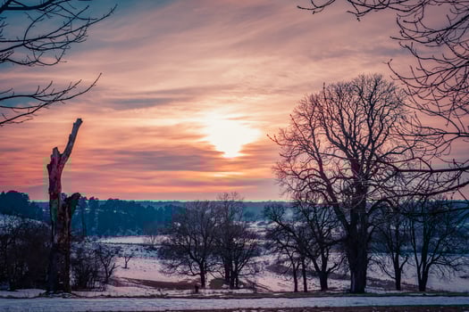 Beautiful Sunset Over Winter Landscape With Bare Trees and Pastel Sky Hues. photo
