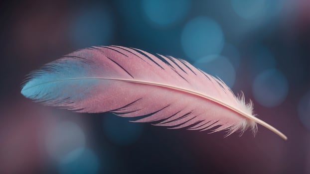 A close up of a feather with a pink and blue hue. photo
