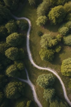 Aerial View of Lush Green Forest with a Winding Path. photo
