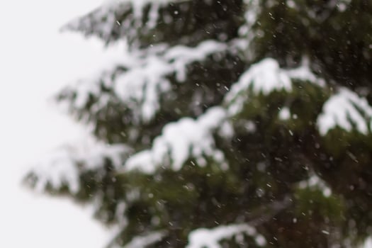 Abstract blurred winter nature background. Christmas or New year snowy overlay photo
