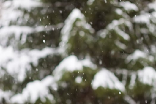 Abstract blurred winter nature background. Christmas or New year snowy overlay photo