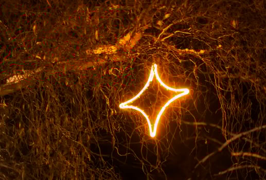 Christmas street with decorative garlands on tree branches and glowing light bulbs. photo