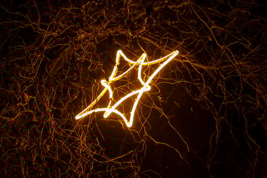 Christmas street with decorative garlands on tree branches and glowing light bulbs. photo