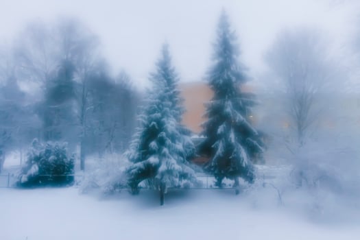 Blurred winter background. photo
