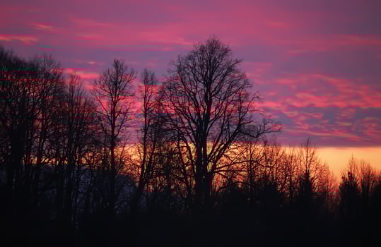 Beautiful cloudscape background. Bright sunset or sunrise sky. photo