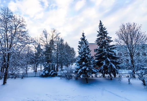 Winter landscape with snow-covered trees. photo
