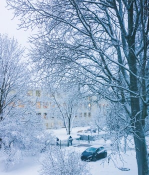 Snow-covered trees in urban park. photo