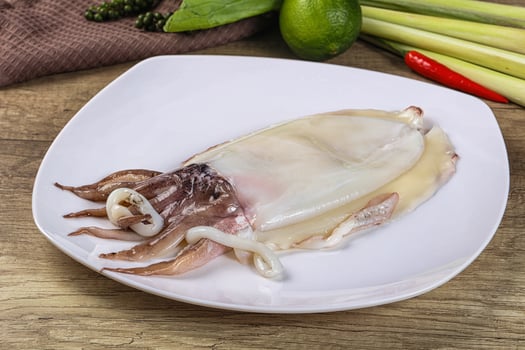 Raw fresh cuttlefish for cooking photo