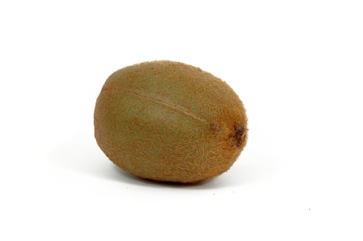 Kiwi on white background photo