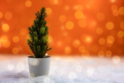 small artificial spruce Christmas tree in a white pot on an orange background with bokeh photo