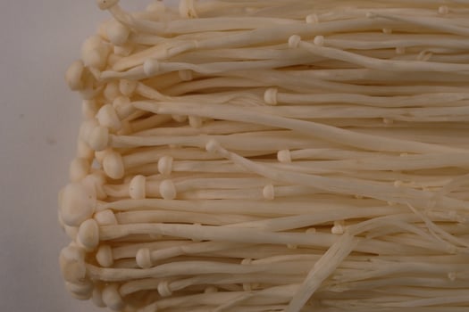 Flammulina filiformis is a species of agaric in the family Physalacriaceae. Enokitake mushroom. enoki jamur. photo