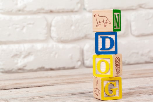 Wooden toy Blocks with the text. dog photo