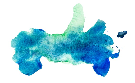 watercolor spot and stokes photo