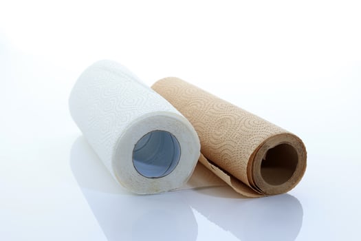 Two Color Paper Towel Kitchen Tissue Roll photo