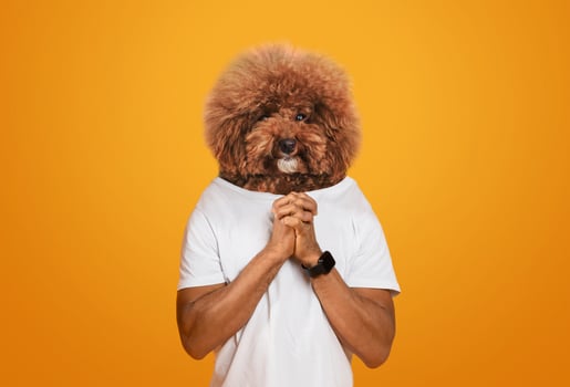 A person humorously poses with fluffy dog head, holding their hands together as if pleading. The vibrant orange background adds a fun and lively atmosphere to the moment captured photo