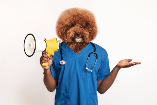 A cheerful dog wearing a blue veterinarian's scrubs stands confidently while holding a megaphone in one paw. The dog's fur is fluffy, resembling a poodle, adding a humorous touch to the outfit photo