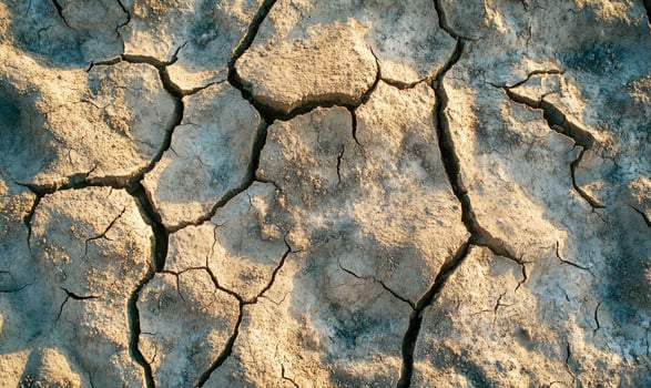 Close-up of parched earth with deep fissures, dry and arid photo