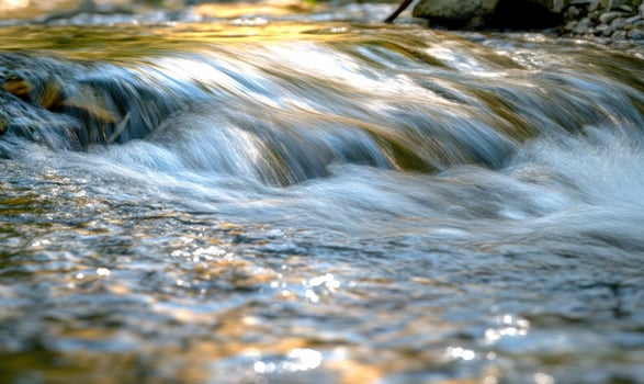 Close-up of a flowing river, sunlight reflecting on the water photo