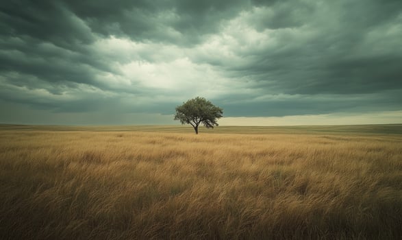 Dark clouds looming over a wide open field photo
