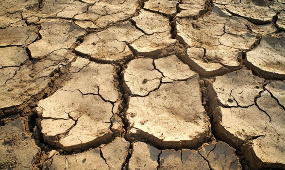 Wide view of a drought-affected landscape photo