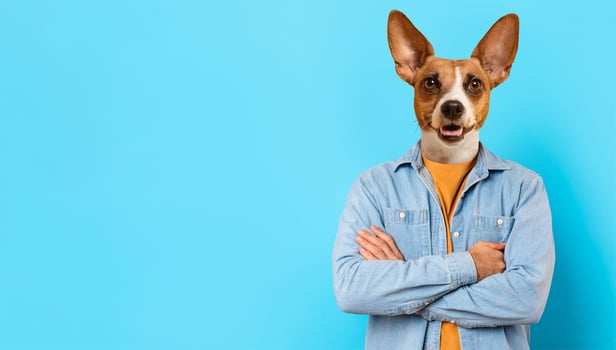 A man stands casually with his arms crossed, displaying a playful expression. His head has been replaced by that of a dog, creating a whimsical and entertaining effect. The background is blue photo