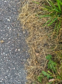 Close-up of the transition between a paved road and dry yellow grass . High quality photo