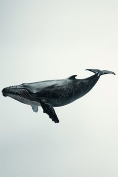 A large whale is flying in the air photo