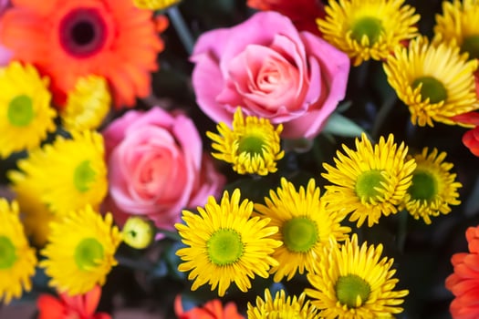 Bouquet of beautiful bright flowers. Floral composition. photo